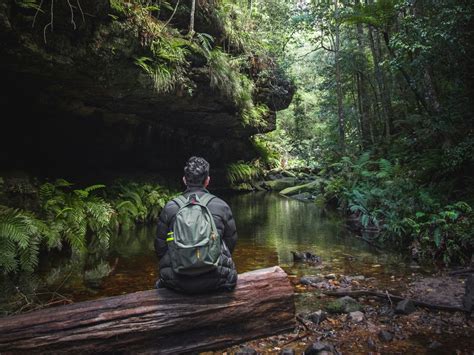  Shinrin-Yoku: The Art and Science of Forest Bathing -  Journey into Nature's Embrace for Healing and Wellbeing